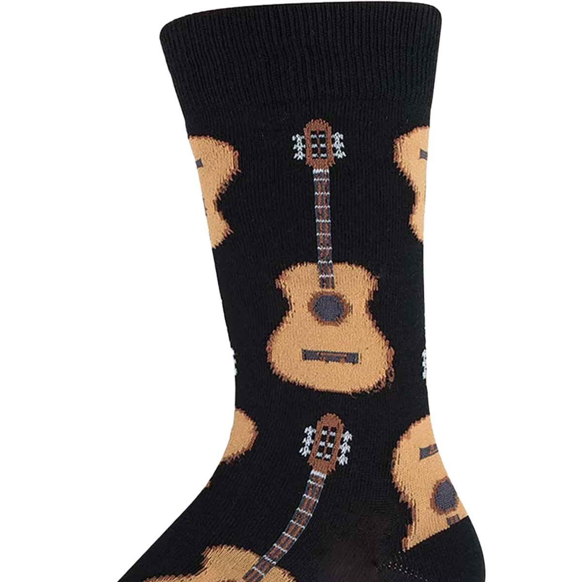 Acoustic Guitar