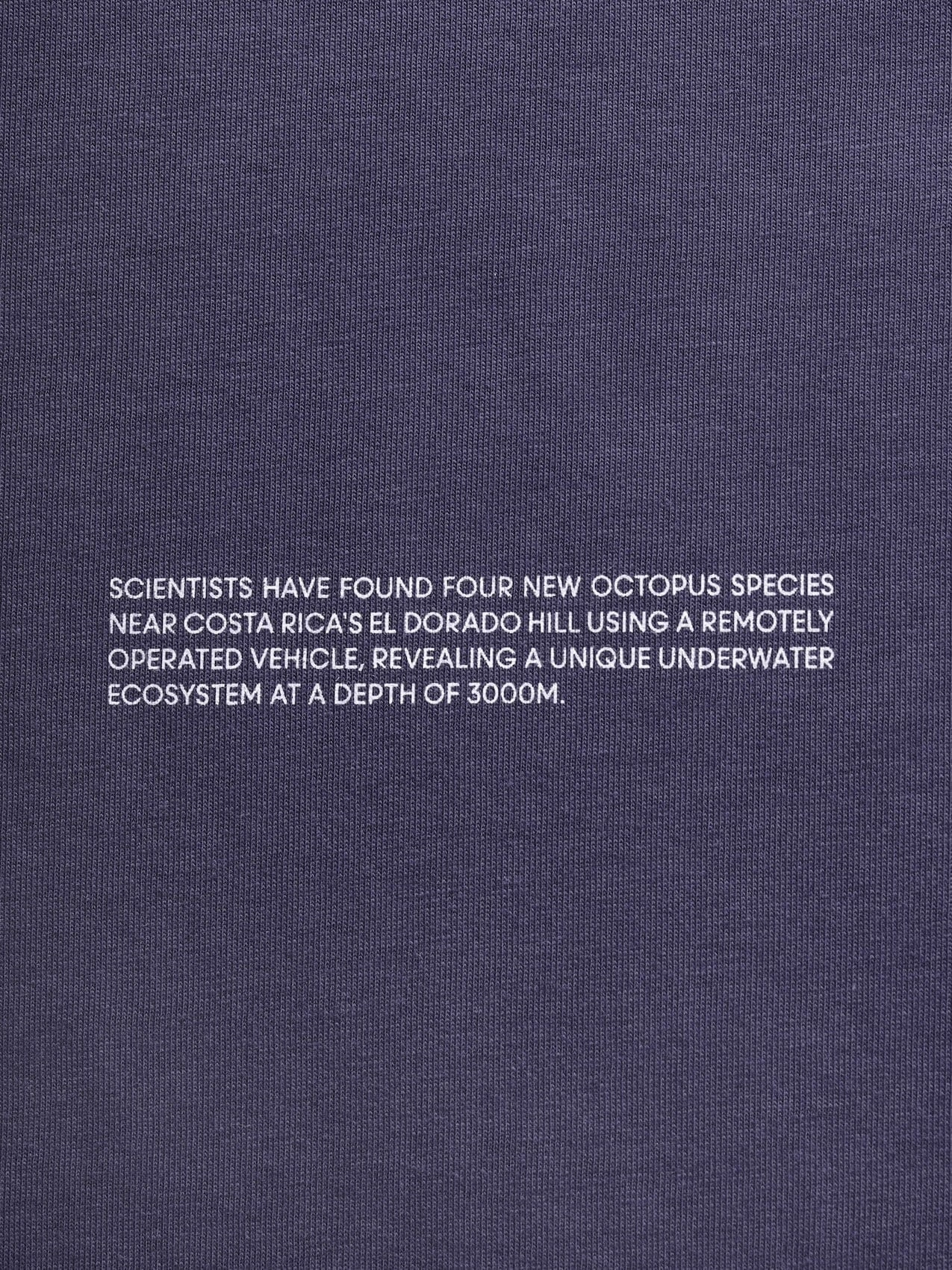 Mens New Octopus Hope T-Shirt—slate blue
