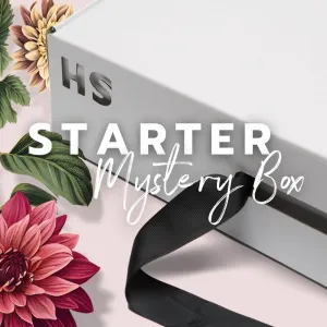 Mystery Bag Box | with Silver hardware