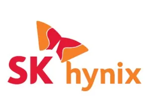 SK Hynix - DDR3 - module - 16 GB - DIMM 240-pin - 1066 MHz / PC3-8500 - registered HMT42GR7BMR4A-G7 D7 AC