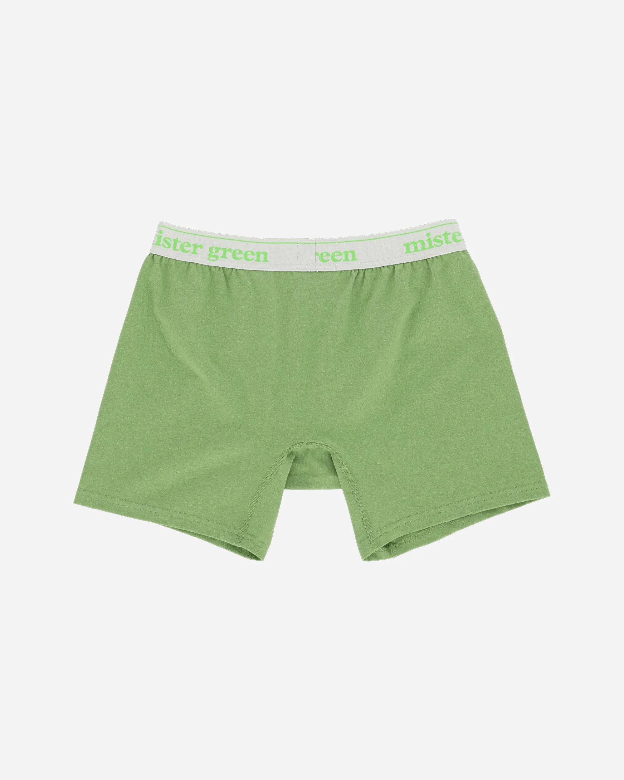 Wordmark Hemp Boxers Chlorophyll / Navy